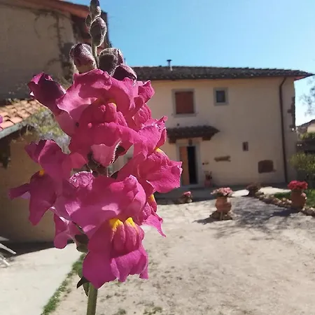Apartment Casa Vacanze Podere Ugolini Ronta