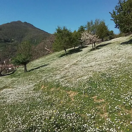Apartment Casa Vacanze Podere Ugolini