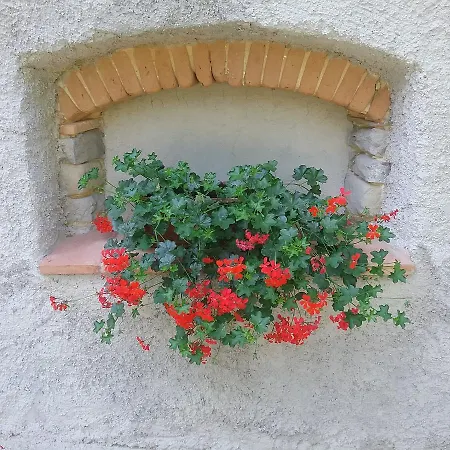 Apartment Casa Vacanze Podere Ugolini Ronta